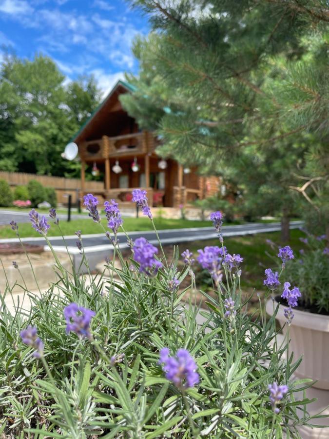 Chalet Mlyn Myhove Eksteriør bilde
